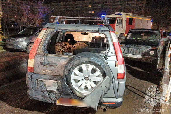 В Московском микрорайоне ночью сгорели 2 автомобиля